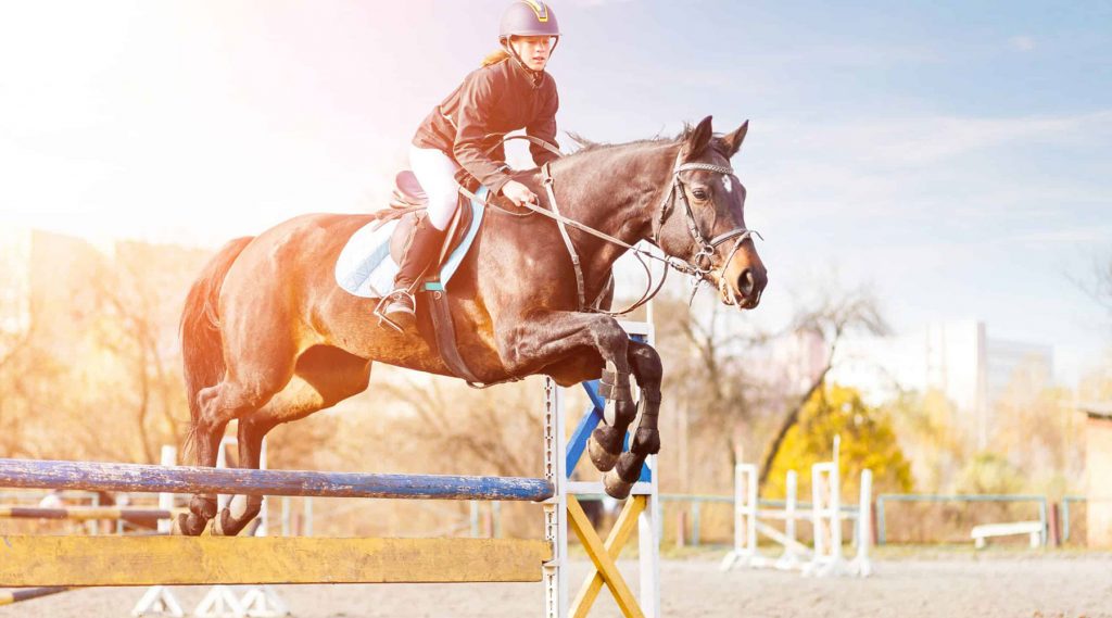 A lady riding a horse