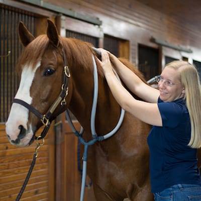 Pulse Equine Advisory Board