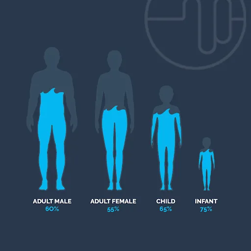 Hydration and Its Crucial Importance to Cellular Health and General Wellness Pulse PEMF Hydration Chart