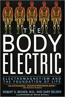 The Body Electric bodyelectric