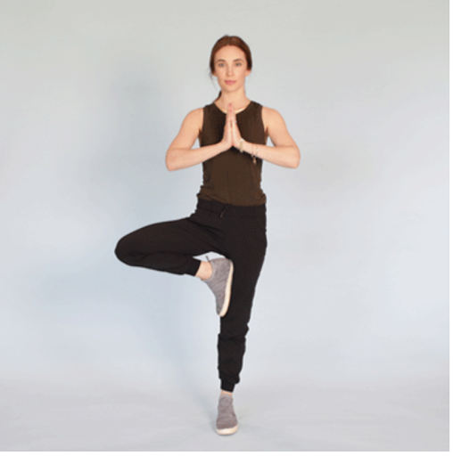 Pulse PEMF Blog - Proprioception - Tree Pose Example