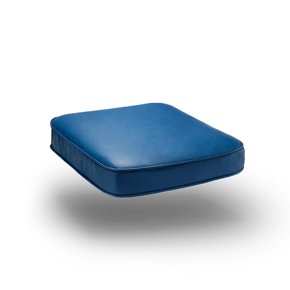 Pulse PEMF Focus Accessory