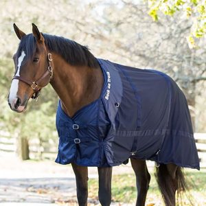 An image of a brown horse wearing a Pulse PEMF blanket