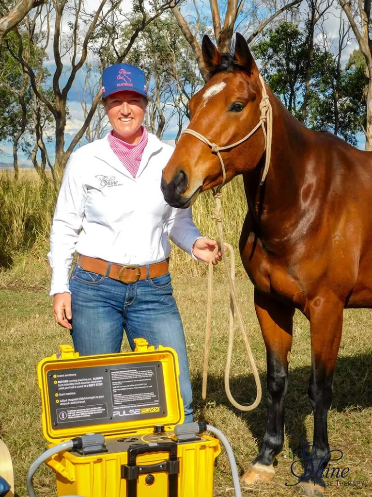 We Love Pulse PEMF: Running An Animal Wellness Business Pulse PEMF Sally Keynes