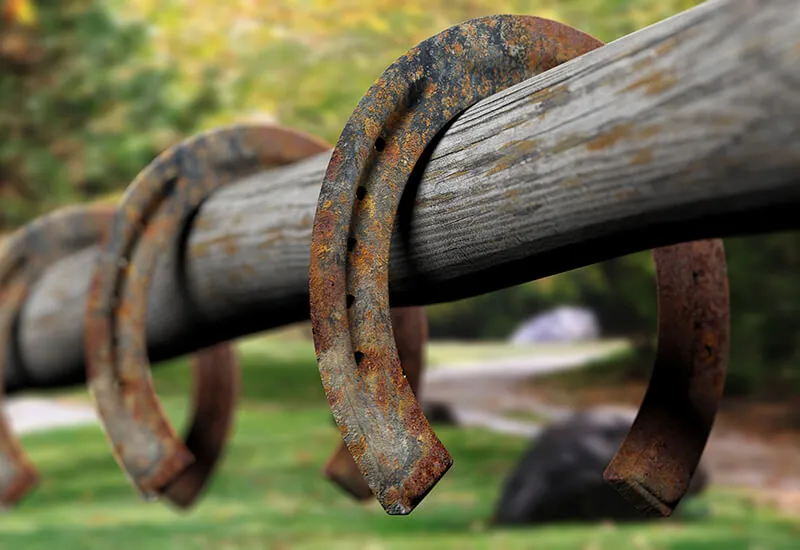 Hoof Health