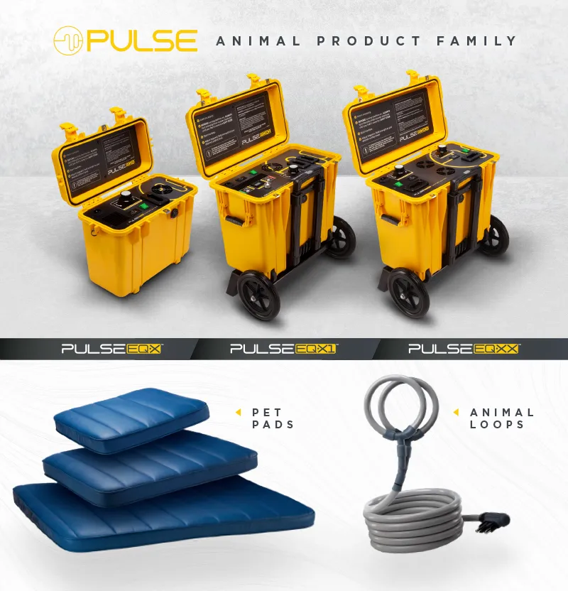 Image of Pulse PEMF machines and accessories for animals
