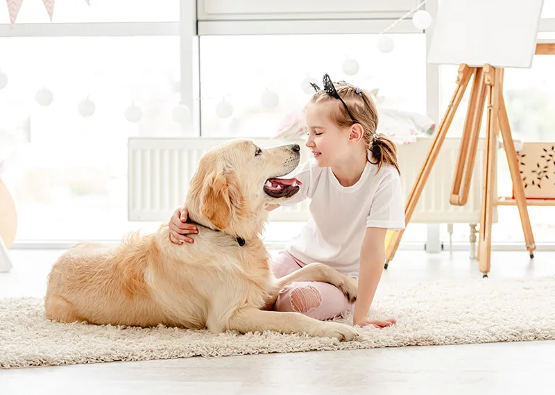 PEMF for pets
