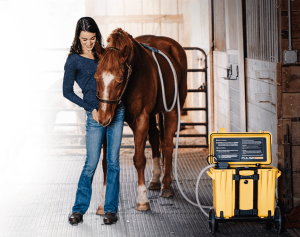 A picture of a woman pulsing her horse using a pemf loop