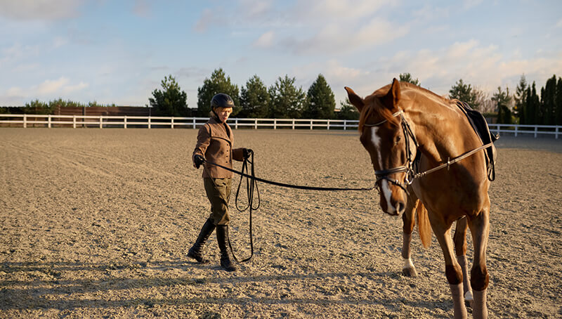 Equestrian guiding horse in arena.