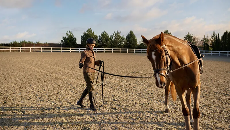 Equestrian guiding horse in arena.