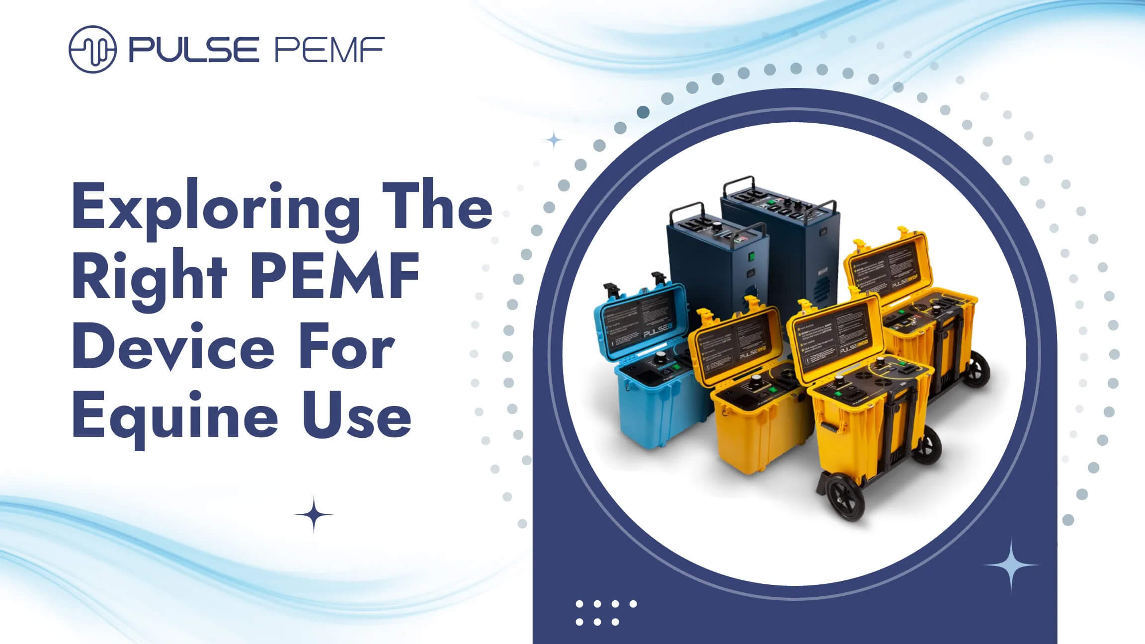 PEMF Device for Equine