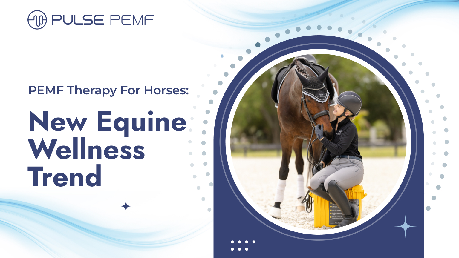 PEMF Therapy For Horses: New Equine Wellness Trend - Pulse PEMF