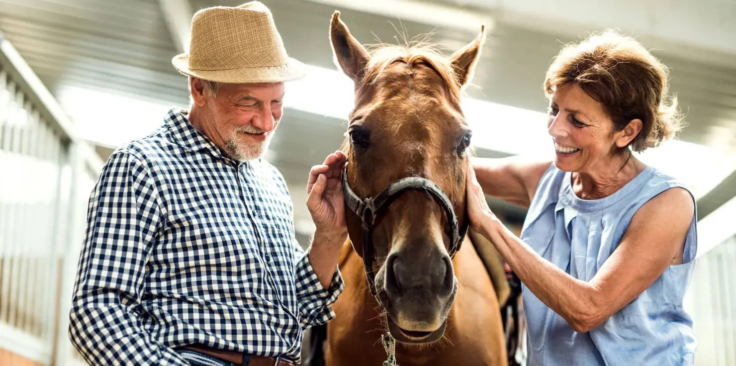Success Stories with PEMF Horse Therapy