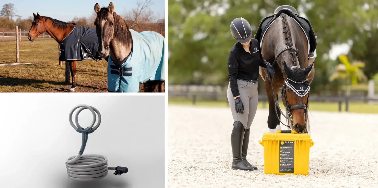 What are the different types of PEMF applicators for horses?