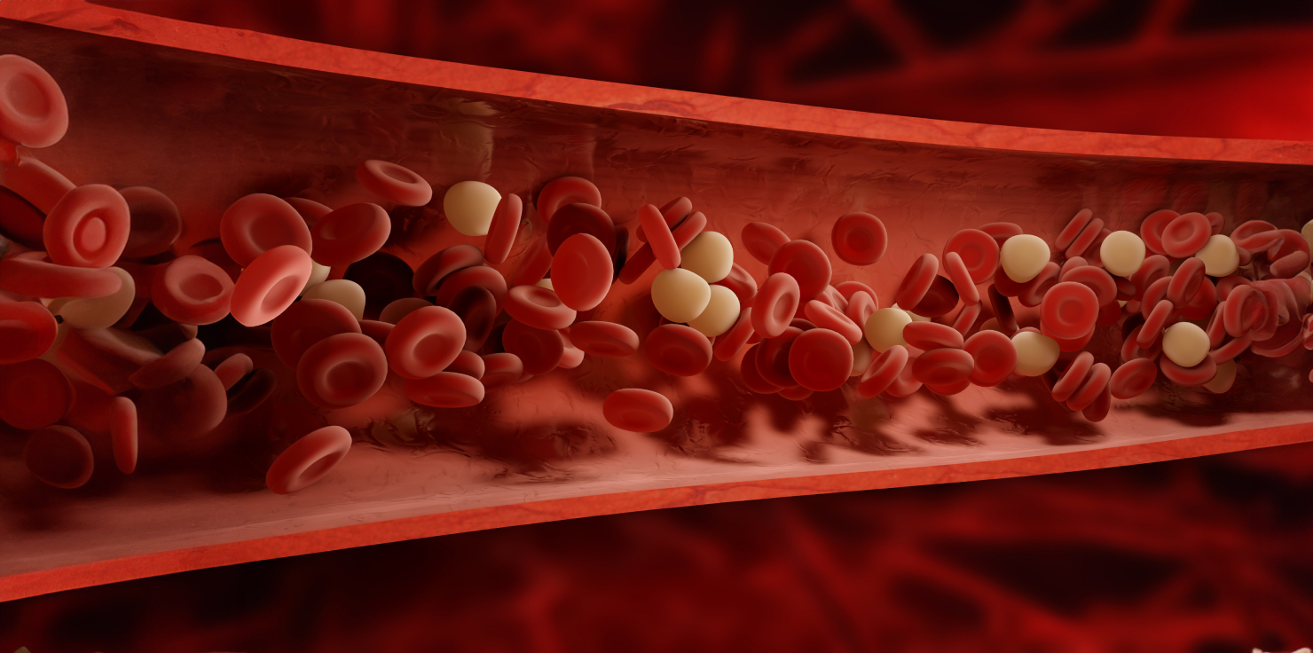 Increased Blood Flow And Oxygen Delivery