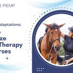 PEMF Therapy for Horses