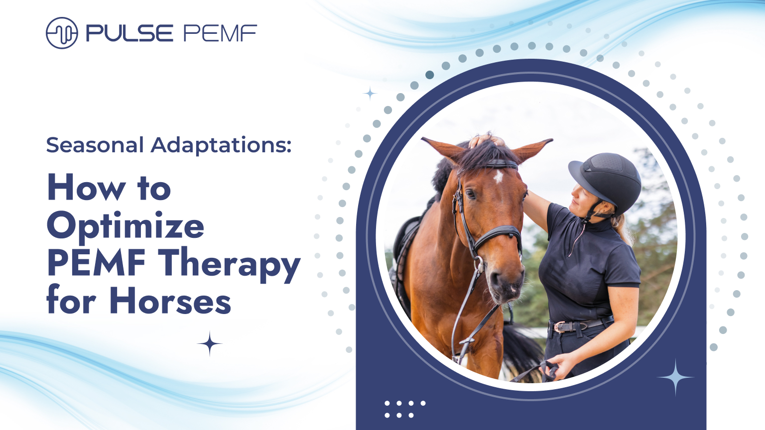 Seasonal Adaptations: How to Optimize PEMF Therapy for Horses - Pulse PEMF