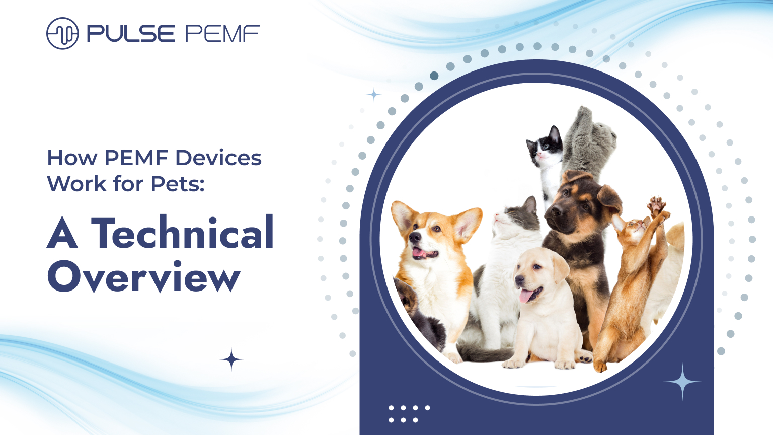 PEMF Devices