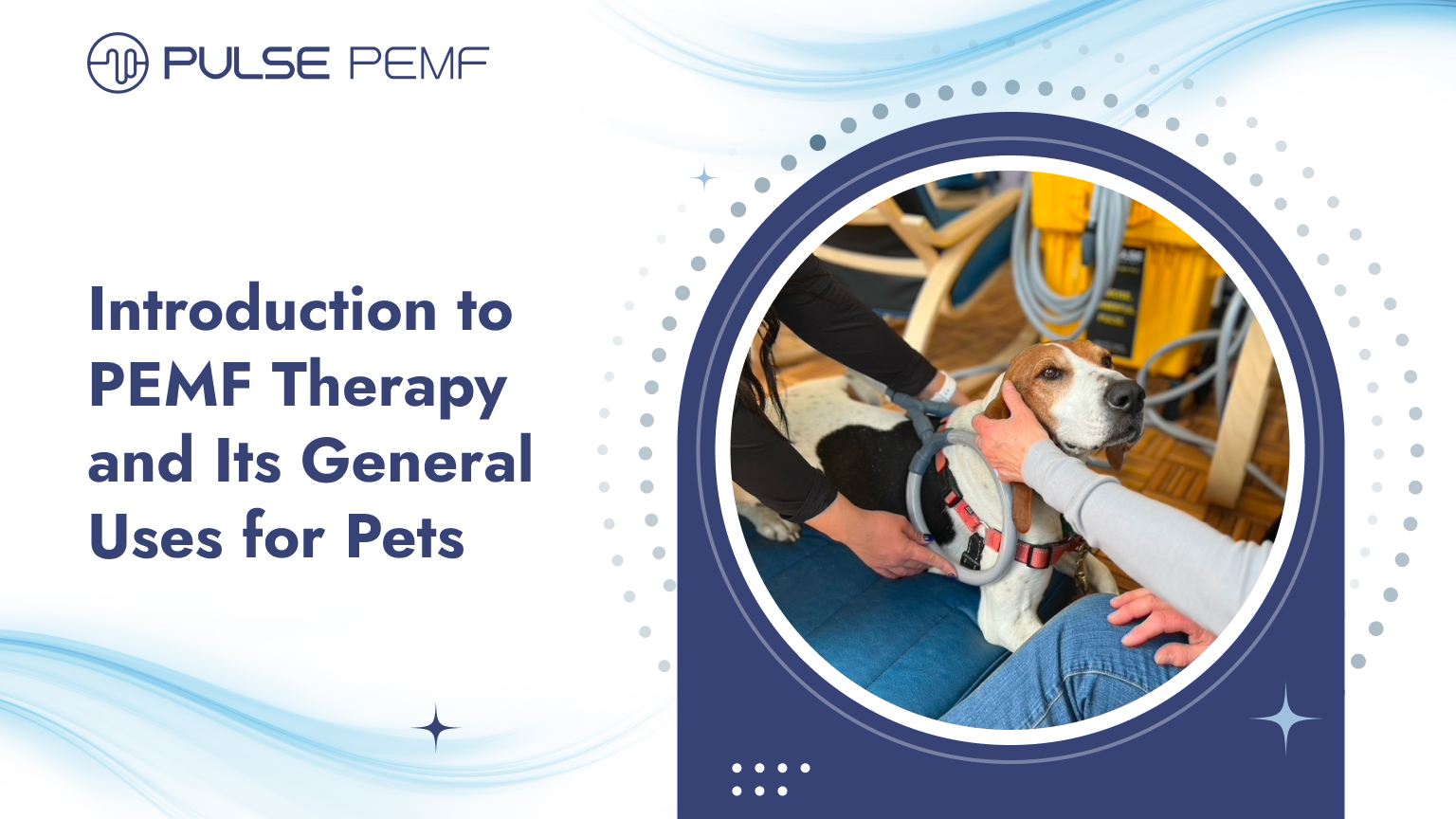 Introduction to PEMF Therapy and Its General Uses for Pets