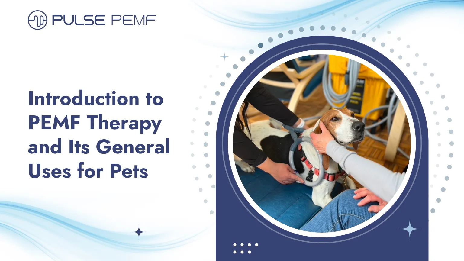 Introduction to PEMF Therapy and Its General Uses for Pets