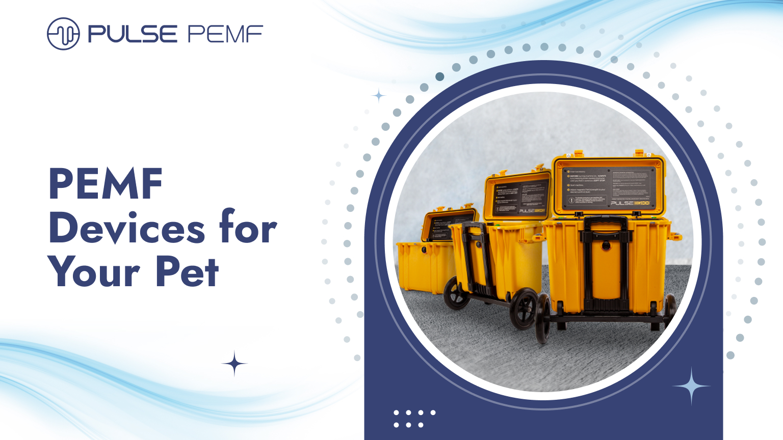 PEMF Devices for Your Pet