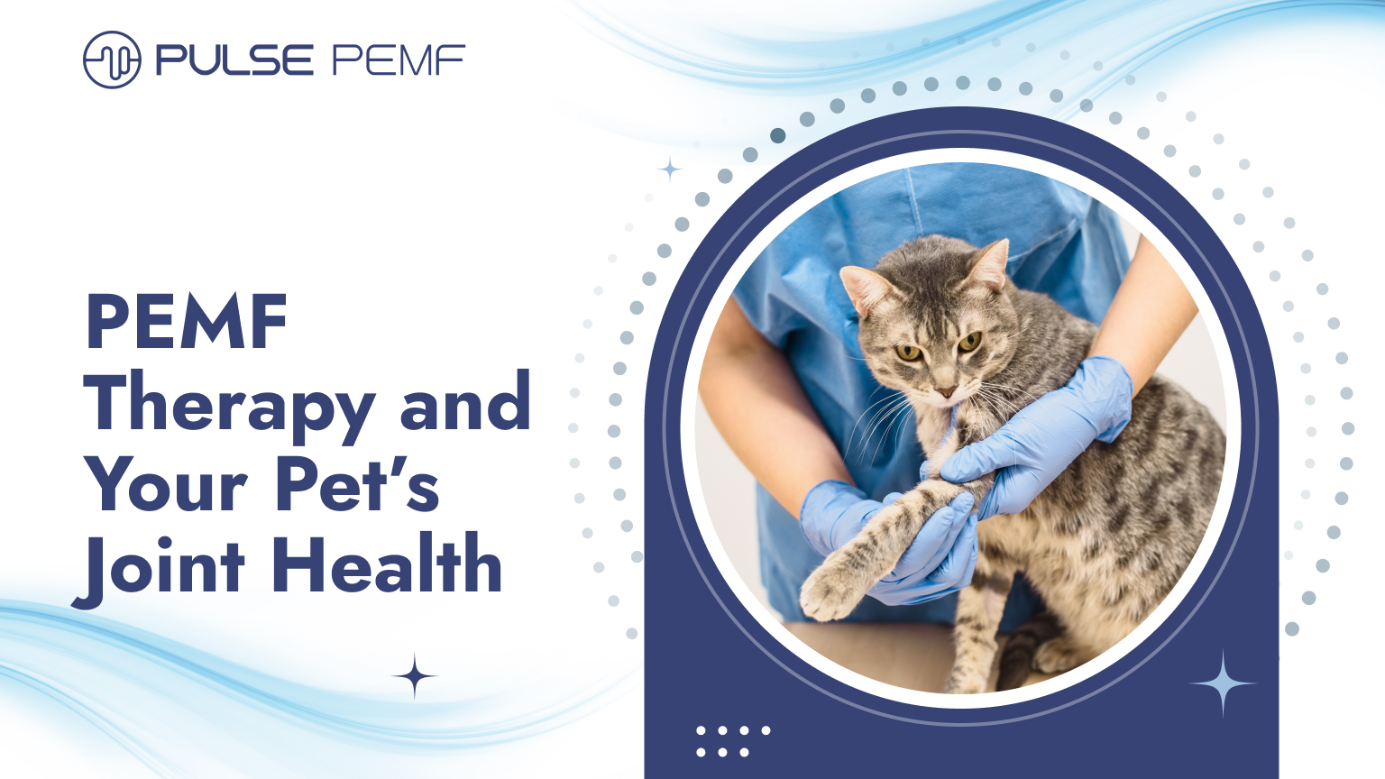 PEMF Therapy and Your Pet’s Joint Health