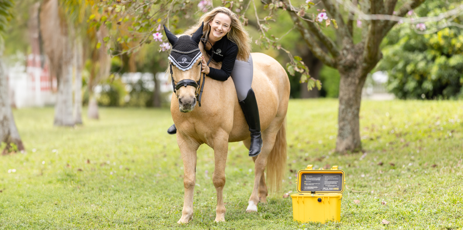 Explore Pulse PEMF Solutions for Your Horse_s Needs