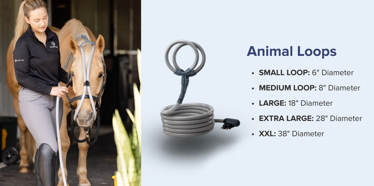 Introducing the Pulse PEMF Loop Advantage