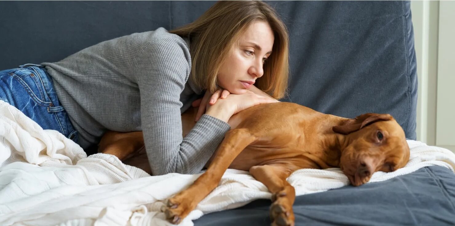 Behavioral Changes in Aging Pets