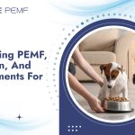 Combining PEMF, Nutrition, And Supplements For Pets