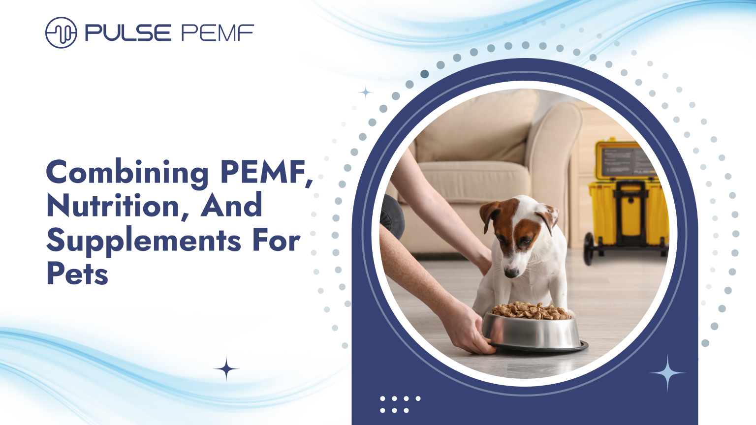 Combining PEMF, Nutrition, And Supplements For Pets