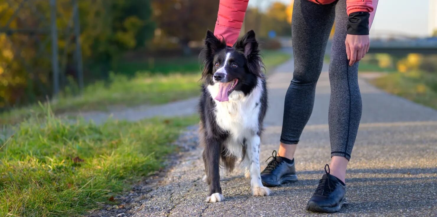 Exercise and Physical Therapy