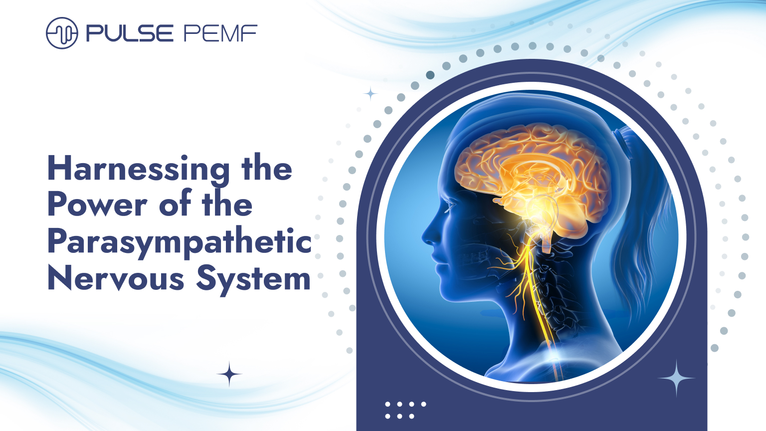 Harnessing the Power of the Parasympathetic Nervous System