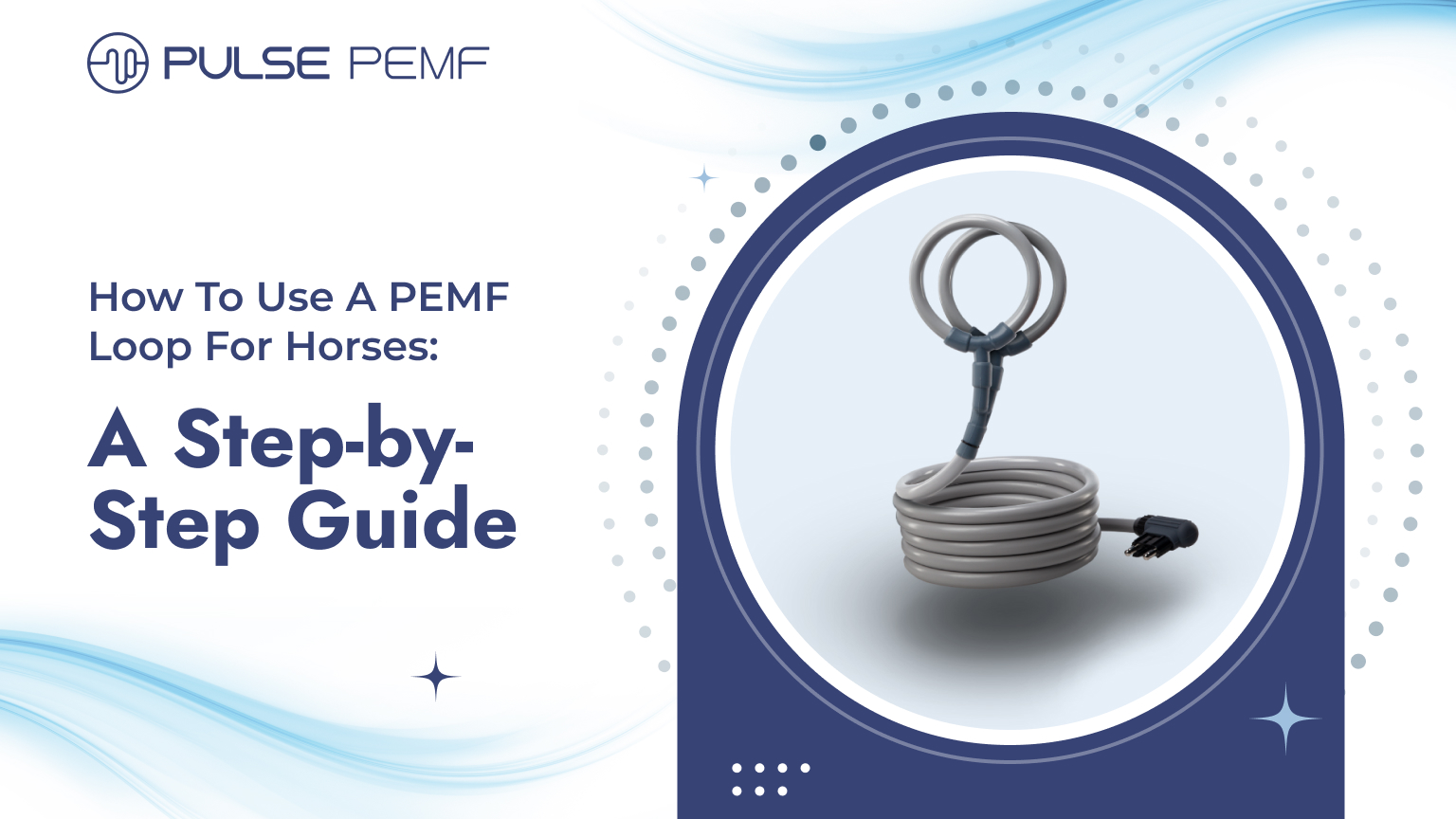 How To Use A PEMF Loop For Horses_ A Step-by-Step Guide