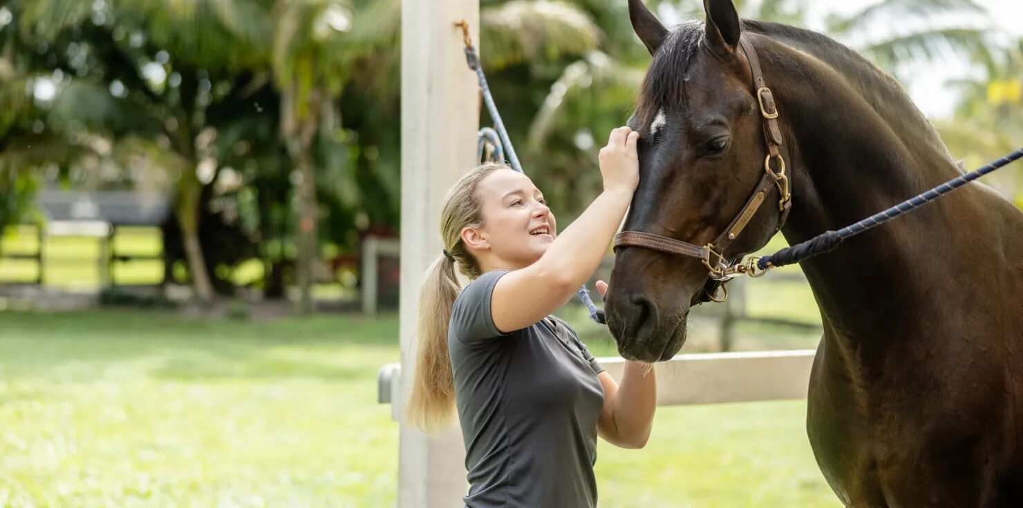 Monitoring Your Horse