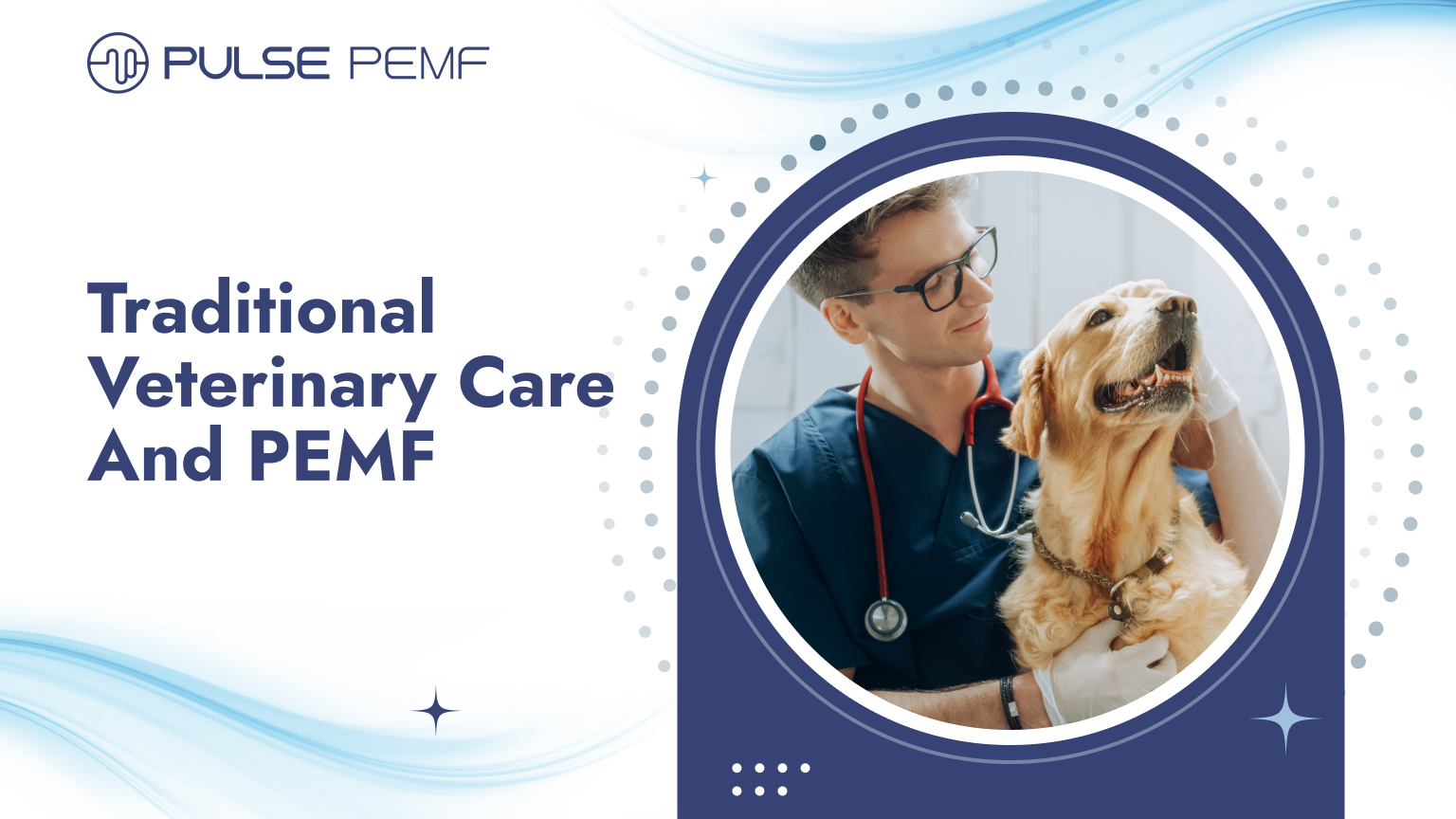 Traditional Veterinary Care And PEMF