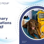 Veterinary Applications of PEMF