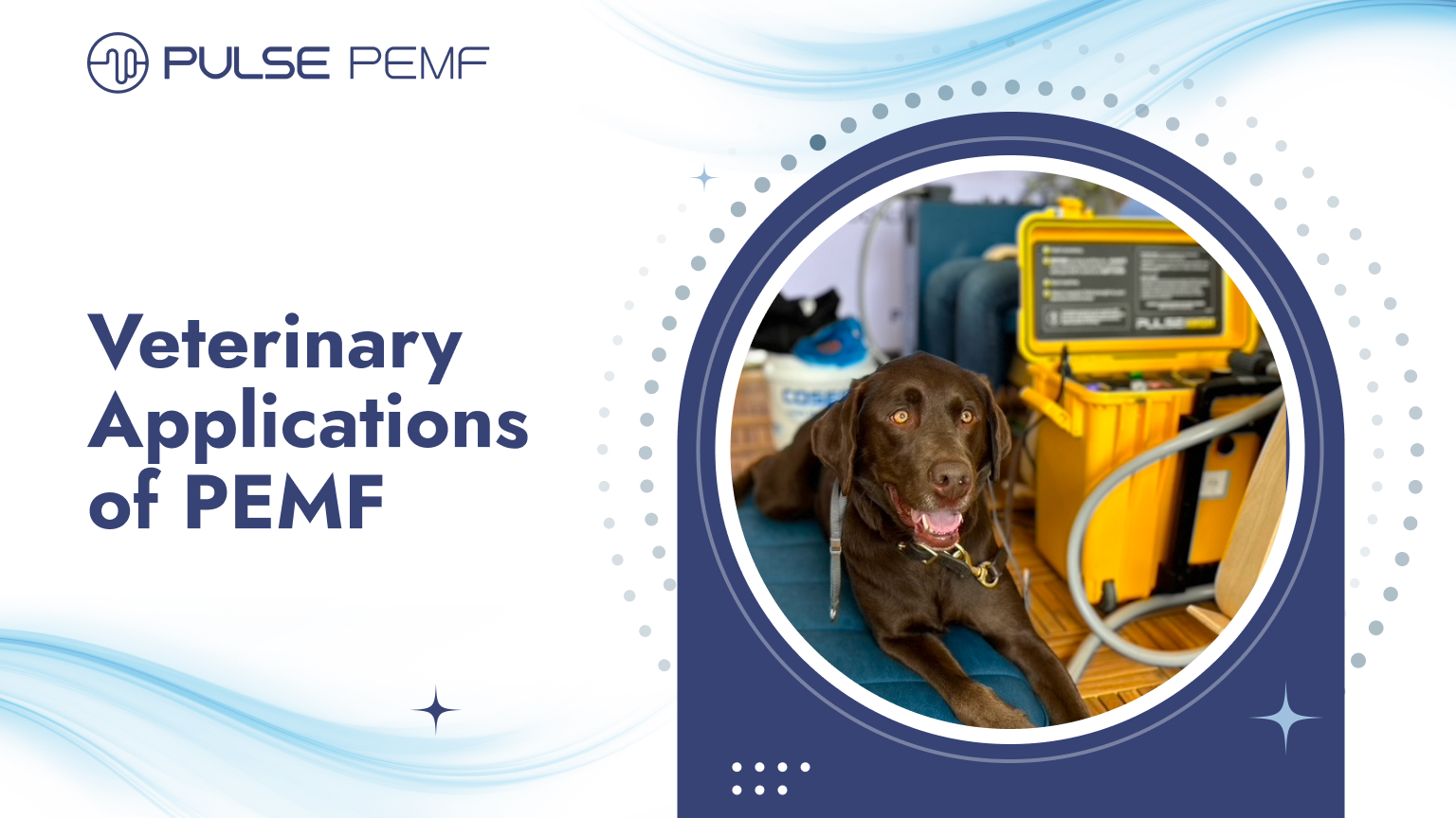 Veterinary Applications of PEMF