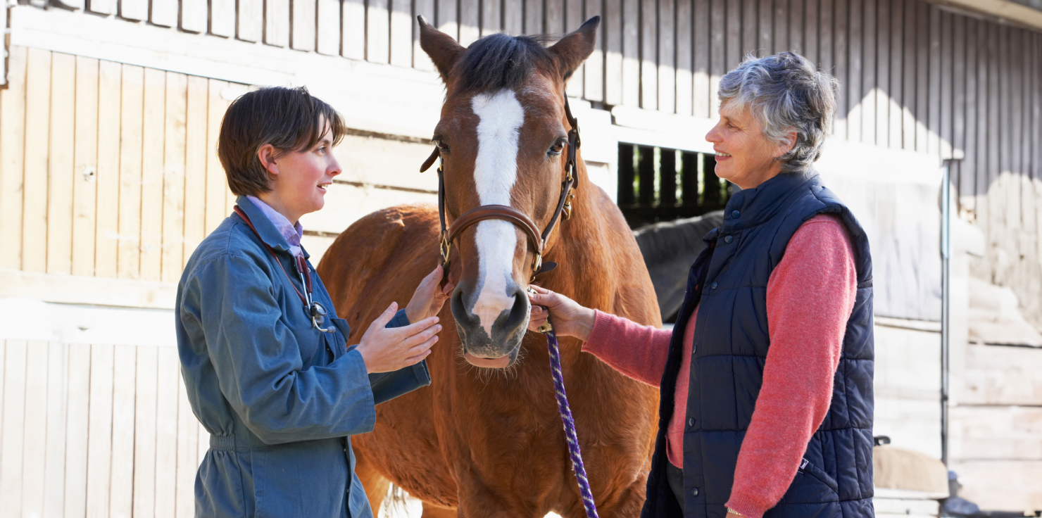 Educating Owners and Caregivers