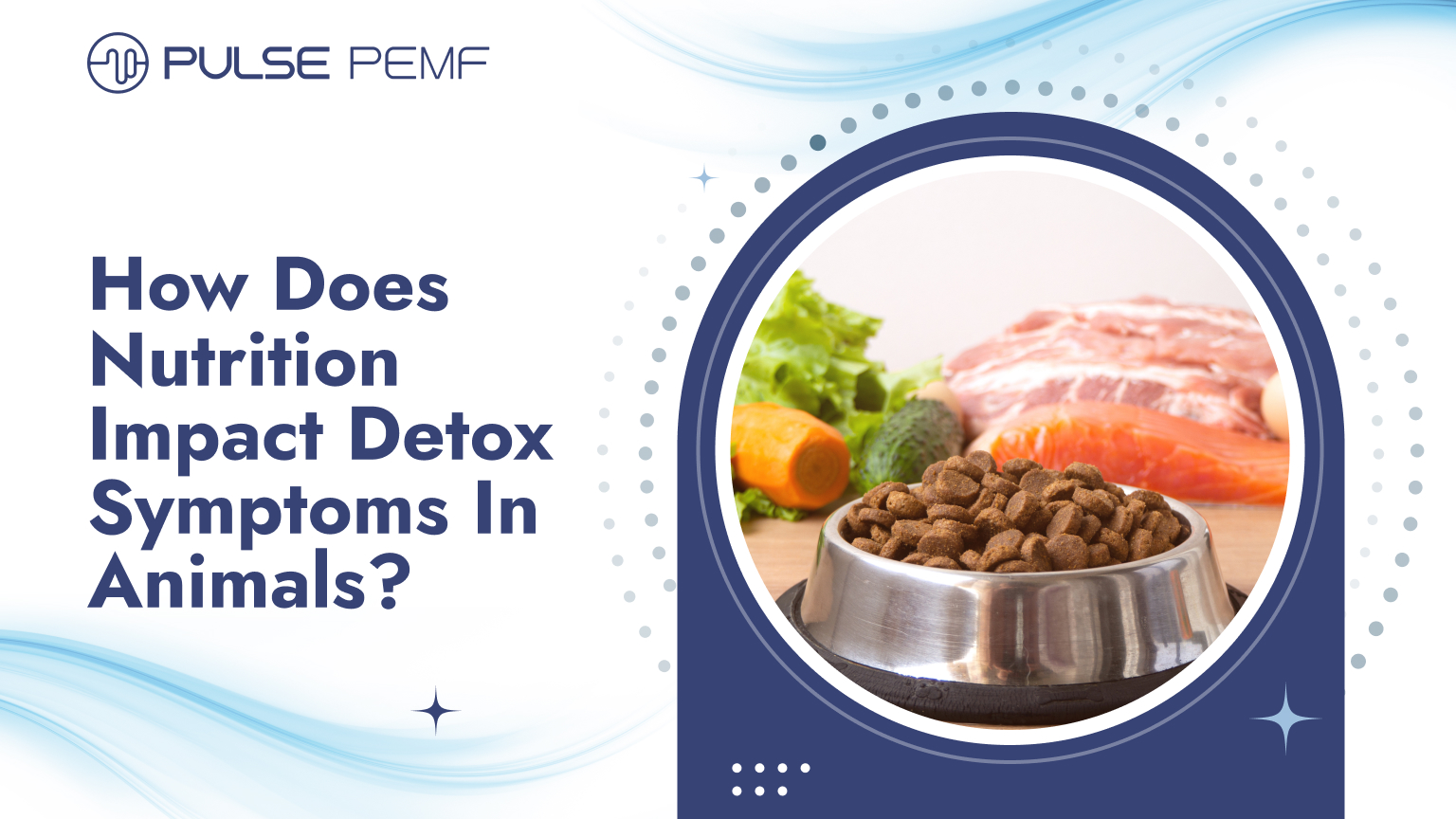 How Does Nutrition Impact Detox Symptoms In Animals