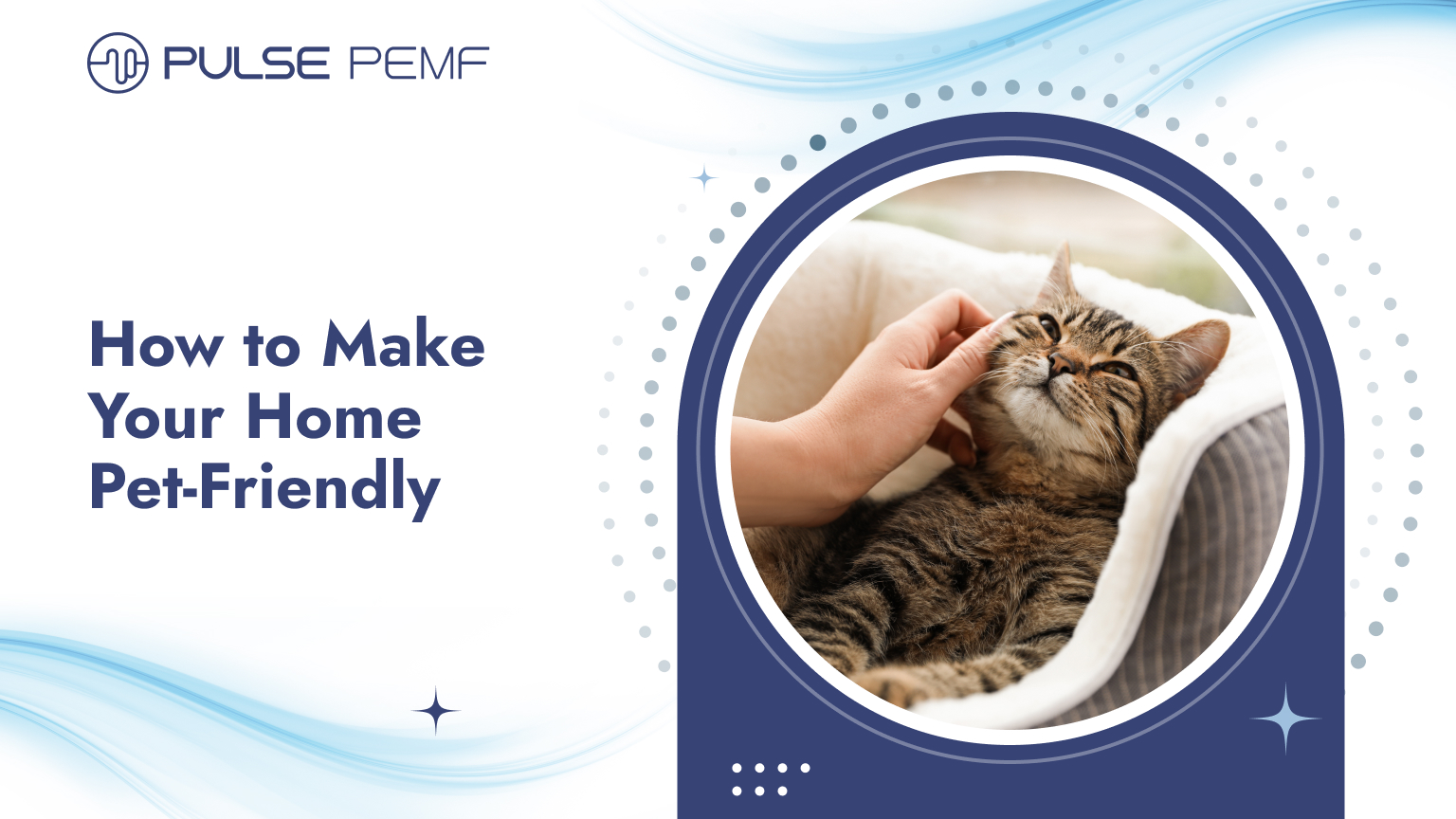 How to Make Your Home Pet-Friendly