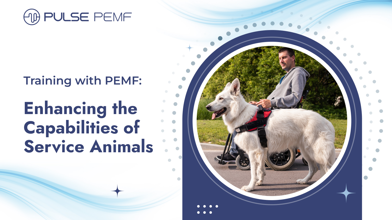 Training with PEMF Enhancing the Capabilities of Service Animals