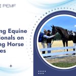 Educating Equine Professionals on Emerging Horse Therapies