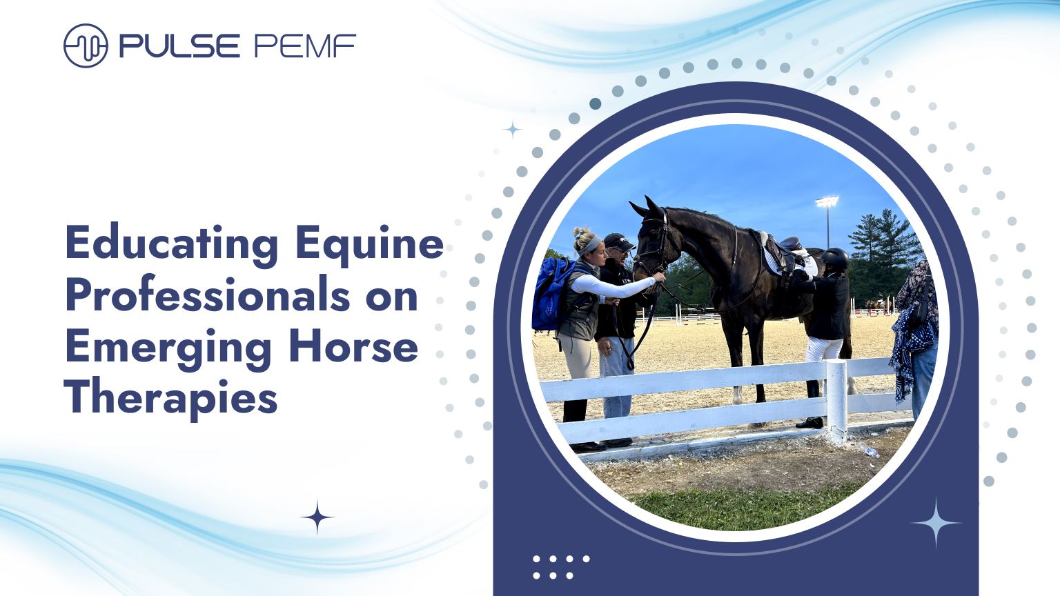 Educating Equine Professionals on Emerging Horse Therapies