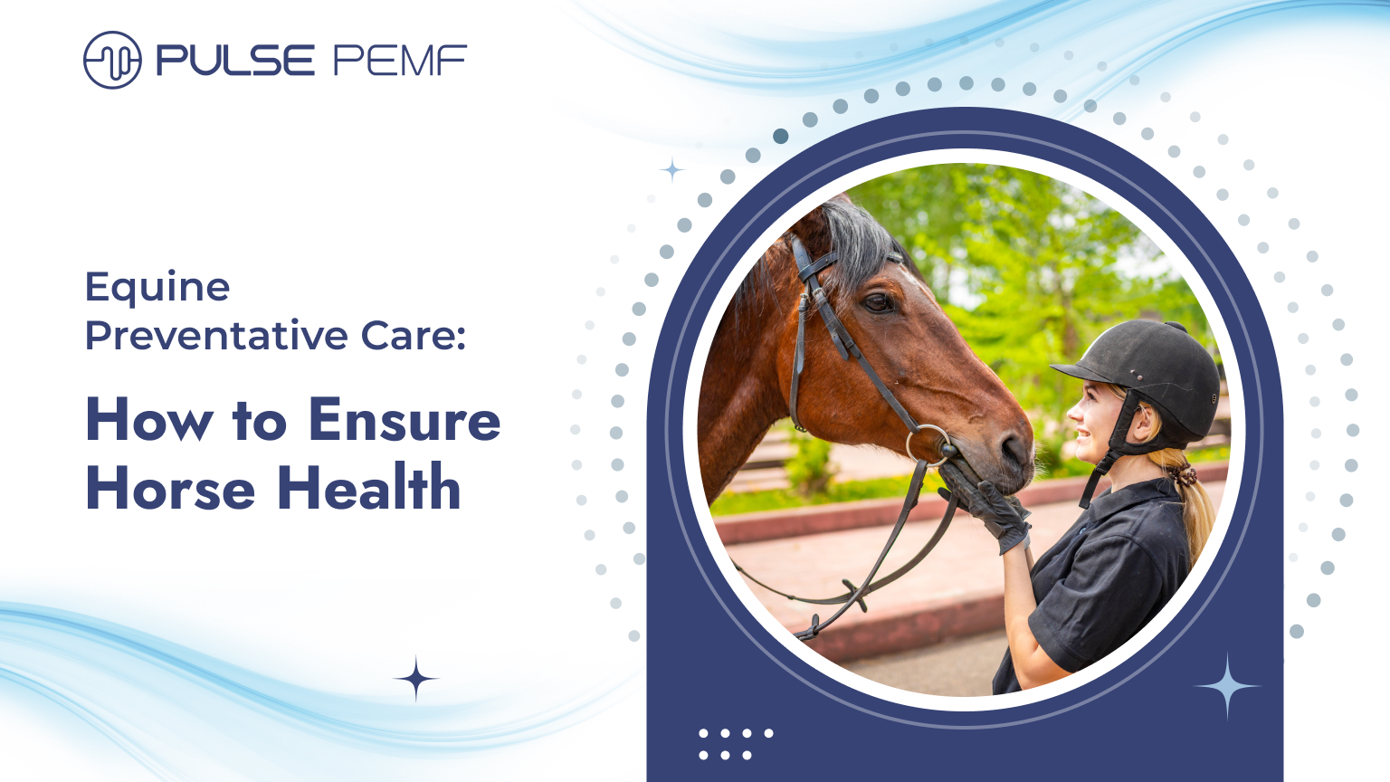 Equine Preventative Care_ How to Ensure Horse Health