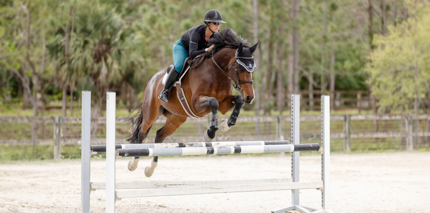 Methods for Educating Equine Professionals