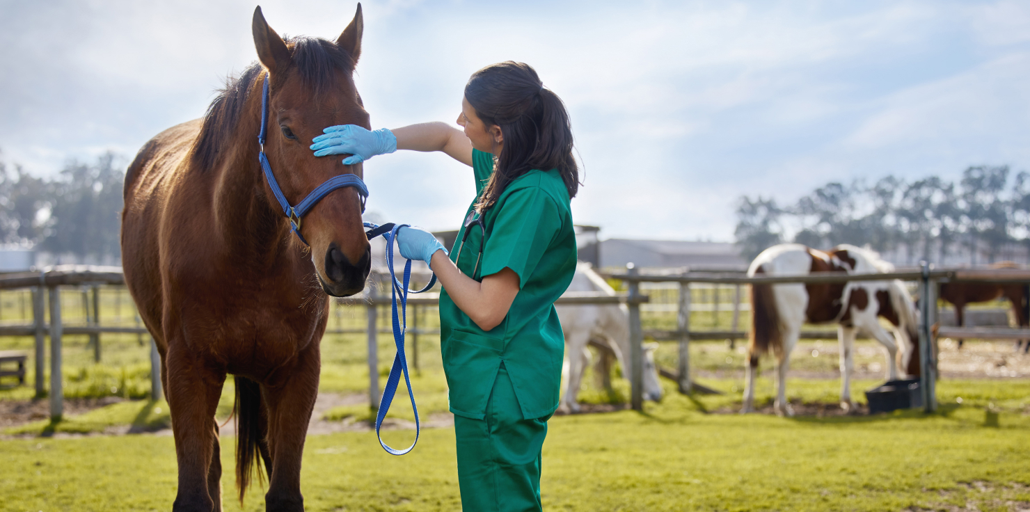 Regular Veterinary Check-Ups