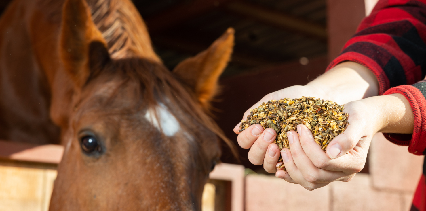 Transition to Winter Feeds