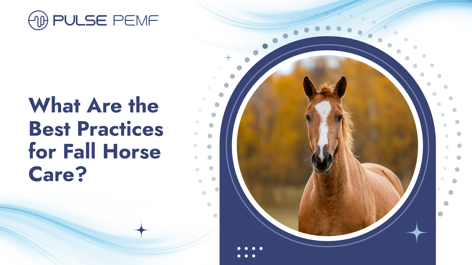 What Are the Best Practices for Fall Horse Care