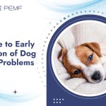 A Guide to Early Detection of Dog Health Problems